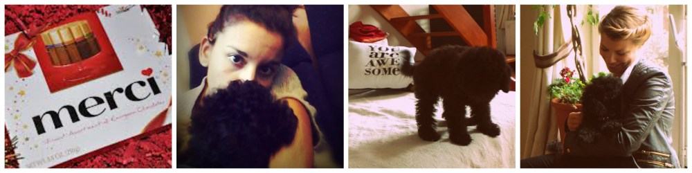 Bruna took the train to Koksijde with a box of chocolates and flowers. The lady had taken good care of Astor and he was even a little chubbier than usual. Her kind soul. And in the evening he was back home. Auntie Mina couldn't be happier. 