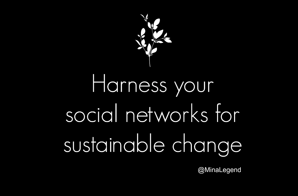 Harness social networks Mina Legnered Blog 2015